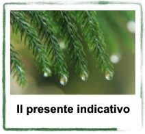 il presente indicativo